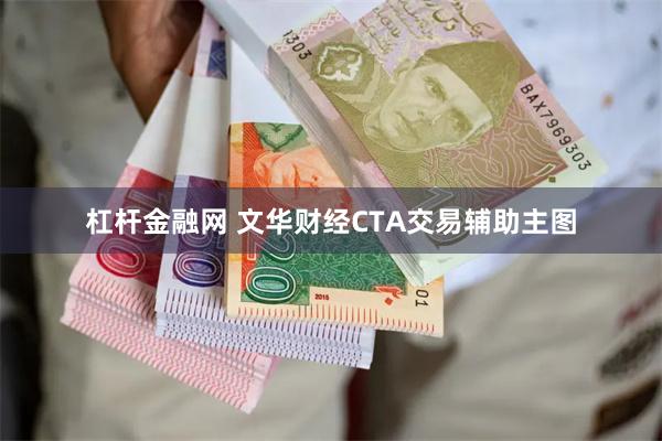 杠杆金融网 文华财经CTA交易辅助主图