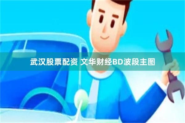 武汉股票配资 文华财经BD波段主图