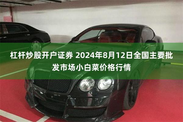 杠杆炒股开户证券 2024年8月12日全国主要批发市场小白菜价格行情