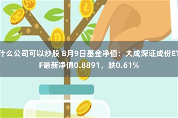 什么公司可以炒股 8月9日基金净值：大成深证成份ETF最新净值0.8891，跌0.61%