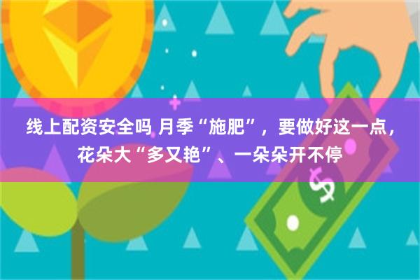 线上配资安全吗 月季“施肥”，要做好这一点，花朵大“多又艳”、一朵朵开不停