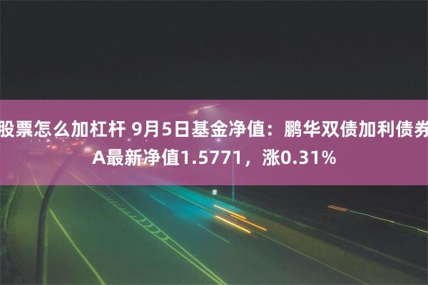 股票怎么加杠杆 9月5日基金净值：鹏华双债加利债券A最新净值1.5771，涨0.31%