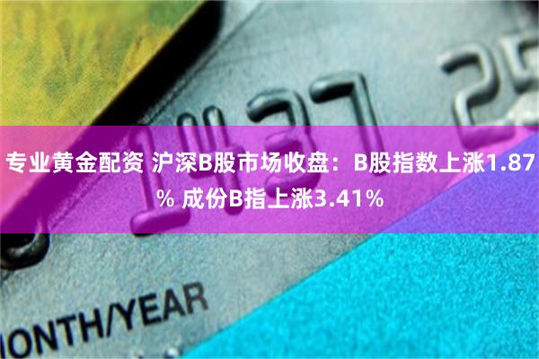 专业黄金配资 沪深B股市场收盘：B股指数上涨1.87% 成份B指上涨3.41%