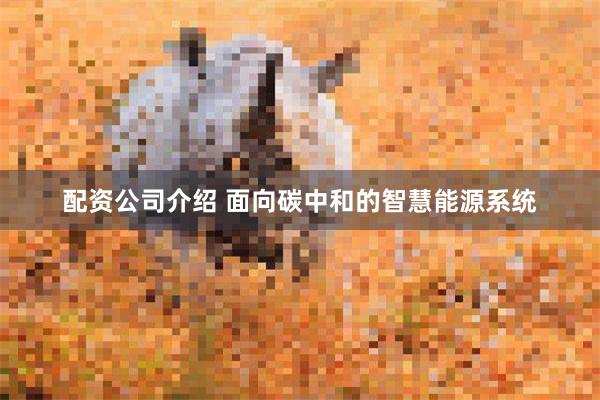 配资公司介绍 面向碳中和的智慧能源系统