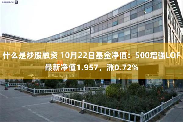 什么是炒股融资 10月22日基金净值：500增强LOF最新净值1.957，涨0.72%