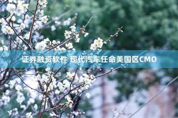 证券融资软件 现代汽车任命美国区CMO