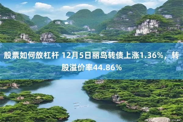 股票如何放杠杆 12月5日丽岛转债上涨1.36%，转股溢价率44.86%