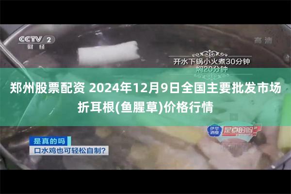 郑州股票配资 2024年12月9日全国主要批发市场折耳根(鱼腥草)价格行情