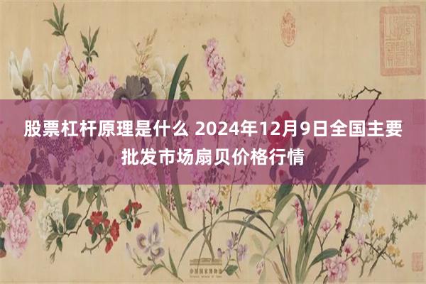 股票杠杆原理是什么 2024年12月9日全国主要批发市场扇贝价格行情