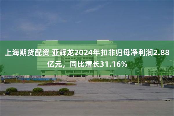 上海期货配资 亚辉龙2024年扣非归母净利润2.88亿元，同比增长31.16%