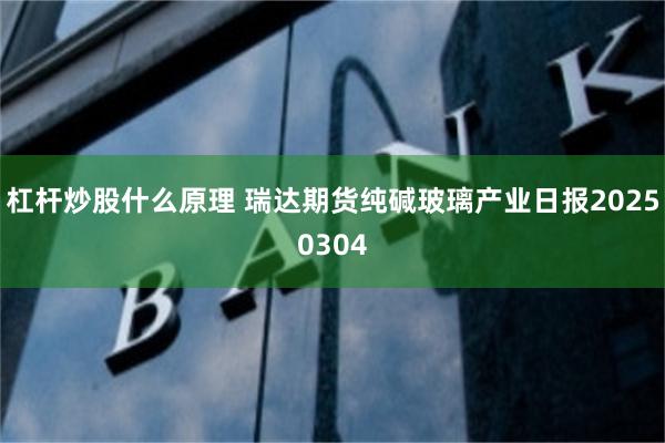 杠杆炒股什么原理 瑞达期货纯碱玻璃产业日报20250304