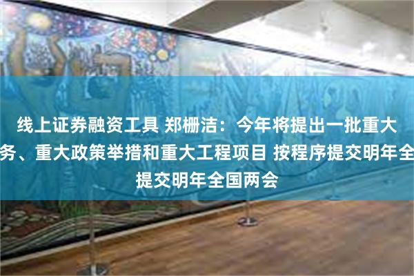 线上证券融资工具 郑栅洁：今年将提出一批重大战略任务、重大政策举措和重大工程项目 按程序提交明年全国两会