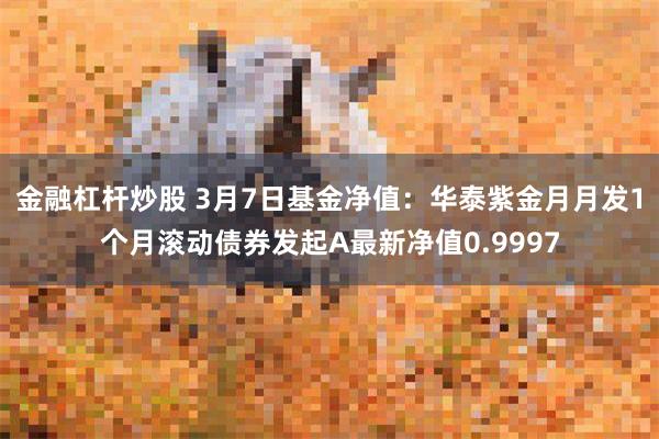 金融杠杆炒股 3月7日基金净值：华泰紫金月月发1个月滚动债券发起A最新净值0.9997